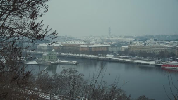 Пейзаж Зимой Праге Чешская Республика Рекой Влтава Stvanice Острова Прага — стоковое видео