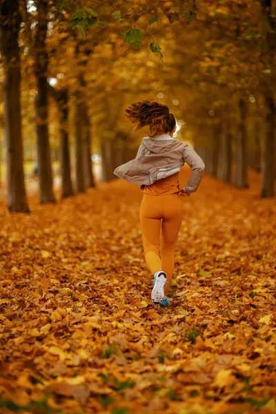 Olá Outono Visto Trás Feminino Roupas Fitness Parque Correndo — Fotografia de Stock