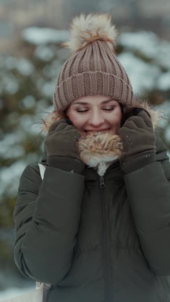 펜시브 코트와 공원에서 겨울에 미튼과 근처에 모자와 — 비디오