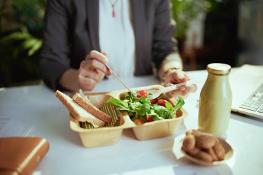 Sürdürülebilir iş yeri. Yeşil ofiste dizüstü bilgisayarı olan ve salata yiyen kadın işçiye yakın çekim..