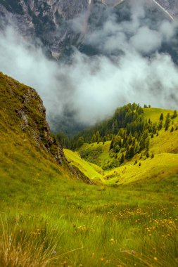 Dolomitlerde yaz zamanı. Dağlı, tepeli, otlu, ağaçlı ve sisli manzara.