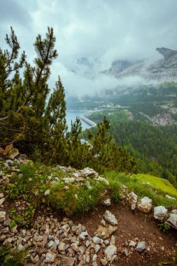 Dolomitlerde yaz zamanı. Dağlarla, bulutlarla, kayalarla ve ormanlarla dolu bir manzara..