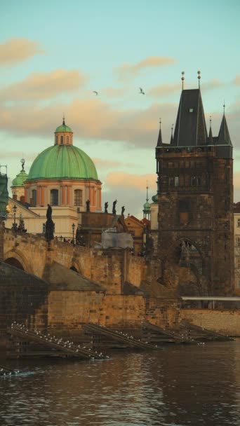 Vltava Nehri Karlov Ile Manzara Çok Akşamları Prag Çek Cumhuriyeti — Stok video
