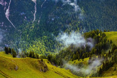 Dolomitlerde yaz zamanı. Tepeleri, ormanı ve sisi olan bir manzara..