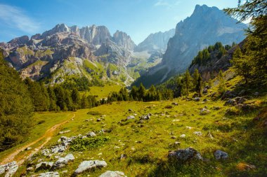 Dolomitlerde yaz zamanı. Dağlarla, çayırlarla, kayalarla, ağaçlarla ve patikalarla dolu bir manzara..