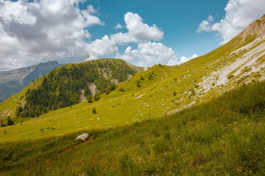 Dolomitlerde yaz zamanı. Tepeleri, bulutları, çayırları ve ağaçları olan manzara.