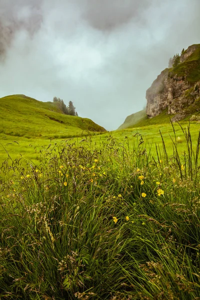 Summer Time Dolomites Landscape Grass Fog — Stock Photo, Image