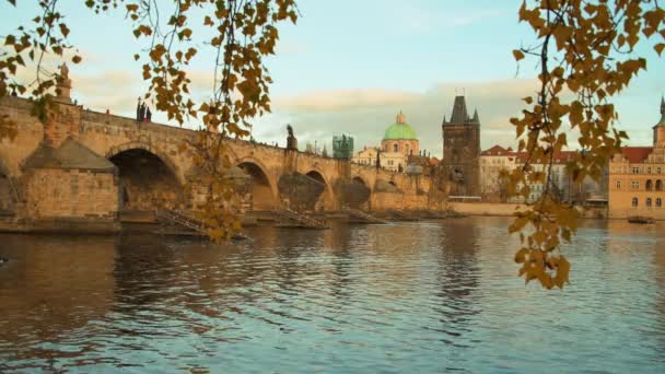 Vltava Nehri Charles Köprüsü Ile Sonbaharda Prag Çek Cumhuriyeti Nde — Stok video