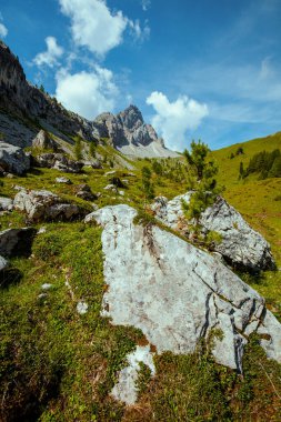 Dolomitlerde yaz zamanı. Dağları, bulutları, kayaları ve ağaçları olan manzara.