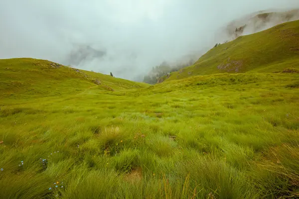 Heure Été Dans Les Dolomites Paysage Avec Prairie Brouillard — Photo