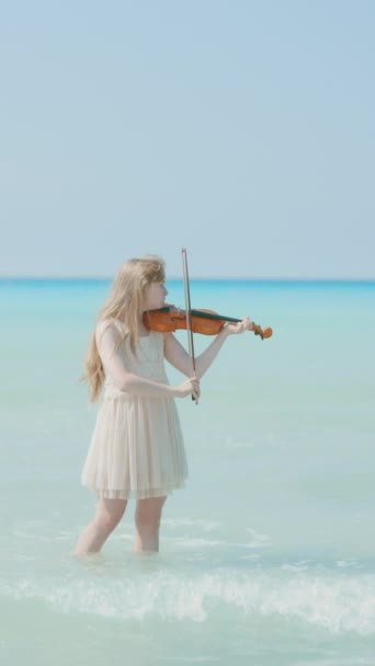 해안에 드레스에 놀이를 즐기는 바이올린 — 비디오