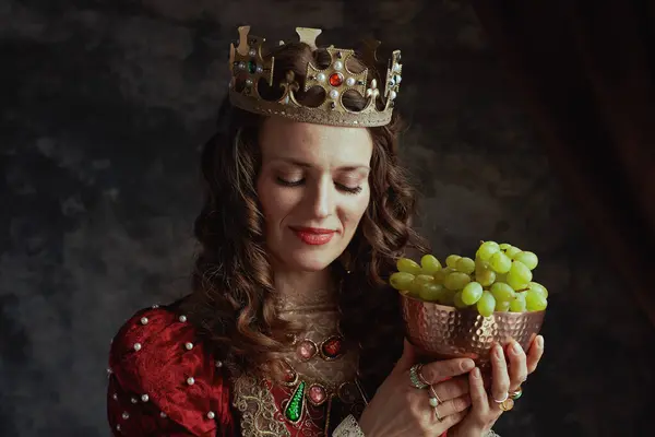 Middelalderlig Dronning Rød Kjole Med Plade Druer Krone Mørkegrå Baggrund - Stock-foto