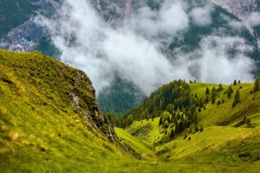 Dolomitlerde yaz zamanı. Dağlı, tepeli, kayalıklı, ağaçlı ve sisli manzara.