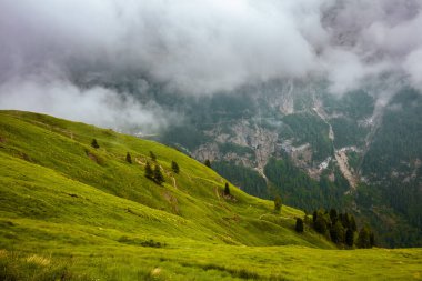 Dolomitlerde yaz zamanı. Dağlı, tepeli, otlu, ağaçlı ve sisli manzara.