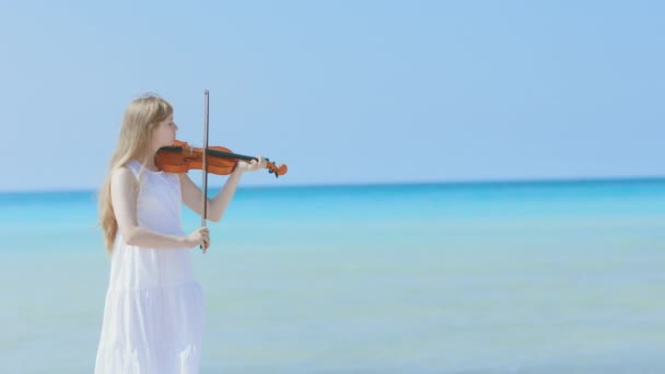 海岸で遊ぶことを楽しんでいるヴァイオリンと軽いドレスの現代ティーンガール — ストック動画