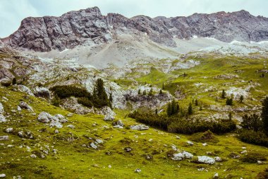 Dolomitlerde yaz zamanı. Dağlarla, kayalarla ve ağaçlarla dolu bir manzara..