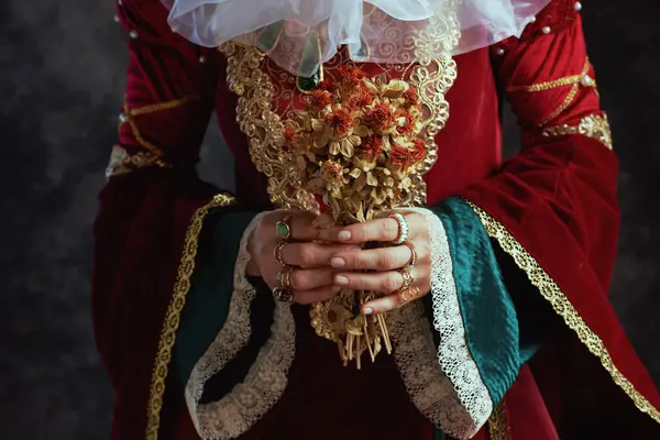 Nahaufnahme Der Mittelalterlichen Königin Rotem Kleid Mit Getrockneter Blume Und Stockbild