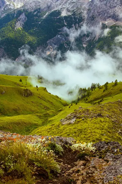 ドロマイトの夏時間 山や丘や岩木や霧が立ち並ぶ風景 ロイヤリティフリーのストック写真