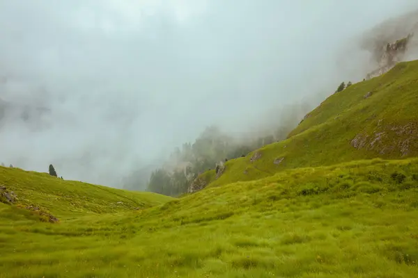 Hora Verão Dolomitas Paisagem Com Grama Nevoeiro Imagens Royalty-Free