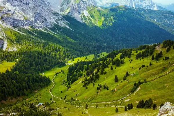 Heure Été Dans Les Dolomites Paysage Avec Montagnes Collines Arbres Photo De Stock