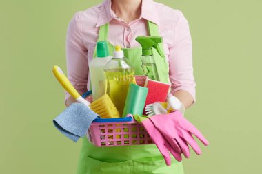 Bahar temizliği. Modern orta yaşlı yeşil önlüklü ev hanımı ve yeşil arka planda lastik eldiven ve temizlik ürünleri sepeti..