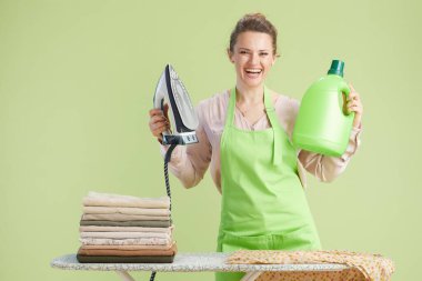 Yeşil önlüklü ve pembe gömlekli neşeli bir kadın çamaşır gününe hazır demir ve deterjan tutuyor. Temiz, açık yeşil bir arkaplan sahneyi tamamlıyor.