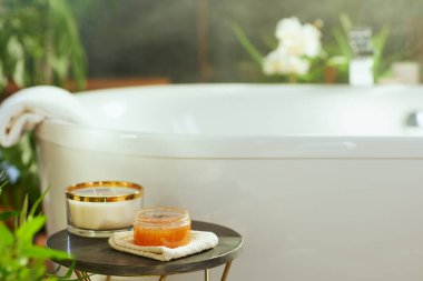 Yan masası olan el değmemiş beyaz bir küvet sahnesi: kokulu mum ve açık vücut fırçası. Bereketli yeşil bitkiler ve doğal ışık bu lüks ve huzurlu spa ortamını geliştirir.