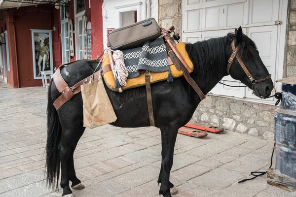 Une Mule Meute Dans Une Petite Ville Méditerranéenne — Photo