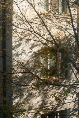 Facade of townhouse behind leafless tree branches