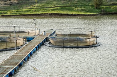Gölde kaplanmış balık çiftliği