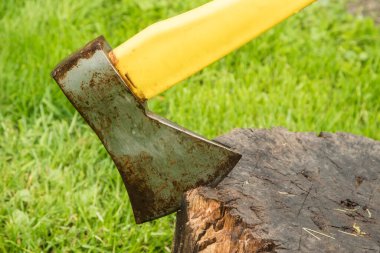 Ağaç kütüğüne saplanmış bir balta.