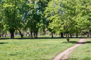 Güneşli bahar gününde şehir parkından görüntü