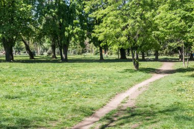 Güneşli bahar gününde şehir parkından görüntü