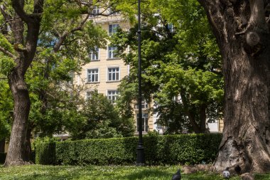 Şehir parkından izlenen güzel eski bina