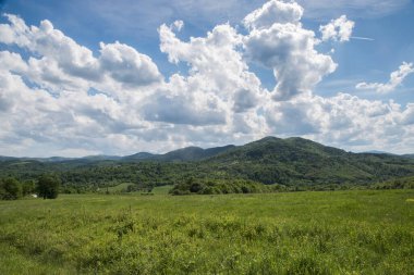 Yeşil orman boyunca kır yolu ve beyaz bulutlu mavi gökyüzü.