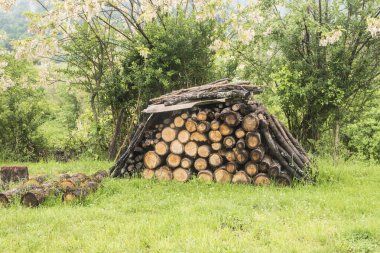 İlkbaharda kırsal çayırlarda istiflenmiş odun yığını