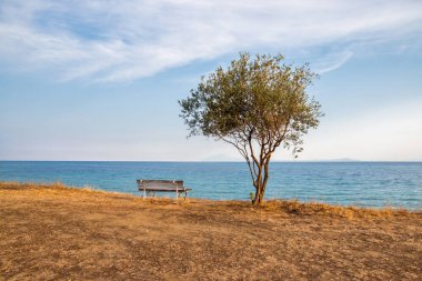 Gün batımında bir deniz koyunun arka planında ağaç ve bank olan huzurlu bir manzara.