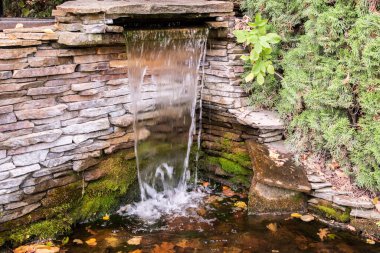 Bahçede sonbaharda yeşil yosun ve taş duvarlı küçük bir şelale.