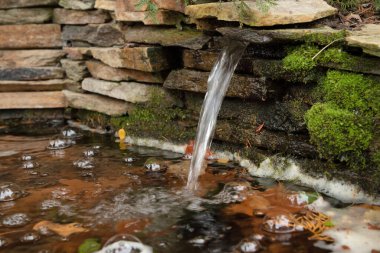 Bahçede sonbaharda yeşil yosun ve taş duvarlı küçük bir şelale.