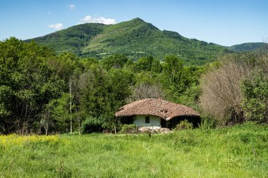 Yeşil bir çayırın ortasında eski bir kır evi ve arka planda dağlar.