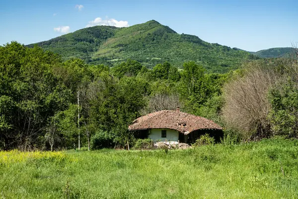 Yeşil bir çayırın ortasında eski bir kır evi ve arka planda dağlar.