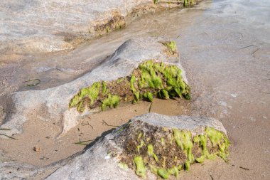 Güneşli yaz gününde kumsalda sakin deniz sularında aşınmış güzel bir taş.