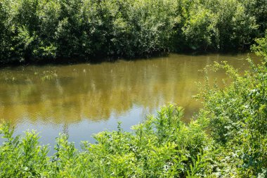 Bereketli yeşil kamışların ve bitkilerin sardığı huzurlu bir nehir.