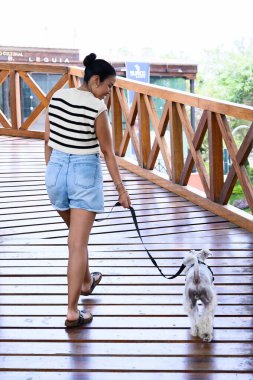 Şehir merkezinde sakin bir yolda köpeğini gezdiren genç bir kadın.