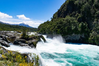 Açık mavi gökyüzünün altında canlı bir yeşilliğin ortasındaki güçlü bir şelaleyi gösteren canlı bir görüntü.