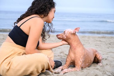 Genç bir kadın kumsalda oturmuş, tüysüz xoloitzcuintli köpeğini okşuyor.