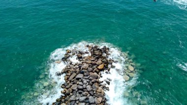 Portrait of lone surfer walking through rocks on coastline. Man with surfing board coming from beach on shore with lots of rocks clipart