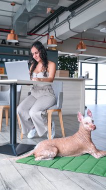 Genç bir kadın evcil hayvan dostu çalışma alanında yeşil bir paspasın üzerinde yatan xoloitzcuintli köpeğiyle birlikte çalışıyor.