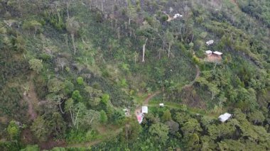 İnsansız hava aracı, Peru 'daki Pichanaqui kırsalındaki orman ormanlarında uçarken ağaçlar, bitkiler, tarlalar, kahve tarlaları ve dağları seyrediyor.