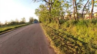 Kırsal yol ve ağaç